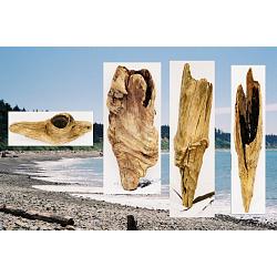 4 Small Knot Pots, 6 to 10 inches Tall